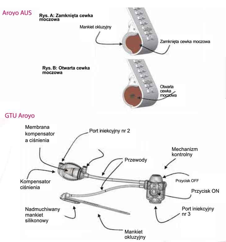 zwieracz aroyo